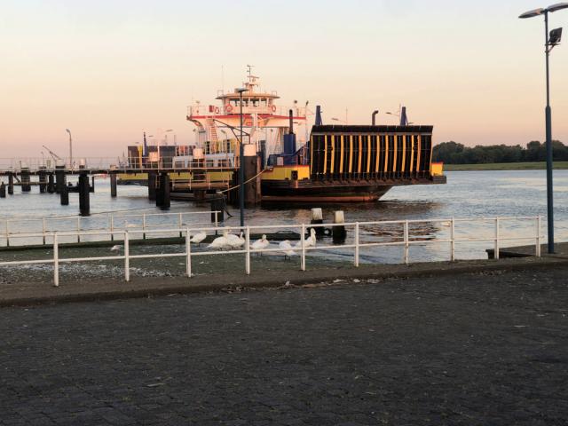20250618_Maassluis_…
