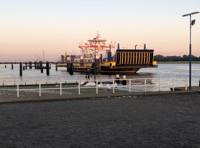 20250618_194614532_…